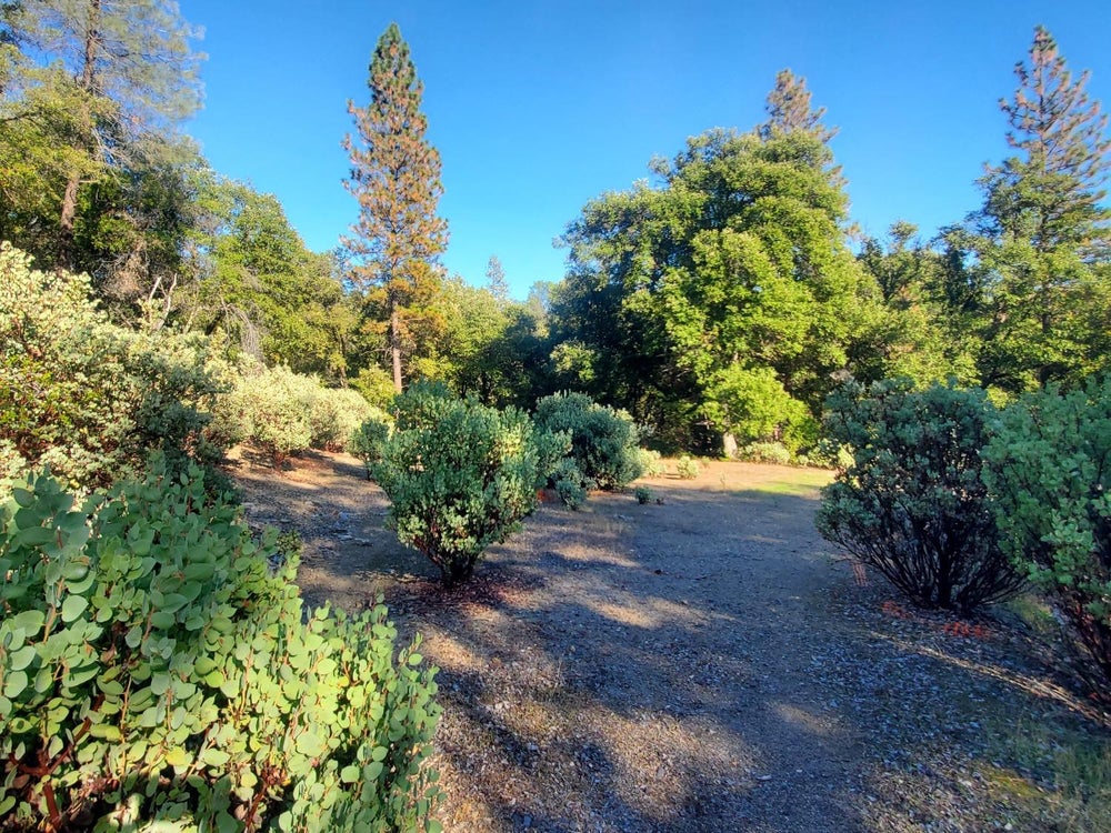 59 TUMBLEWEED ROAD, El Dorado, CA 95623 BHGRE