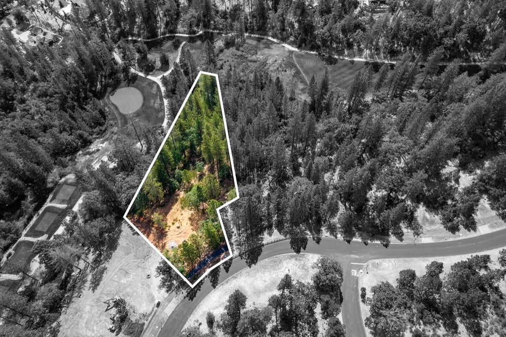 1662 The Point Road, Meadow Vista, CA 95722 BHGRE