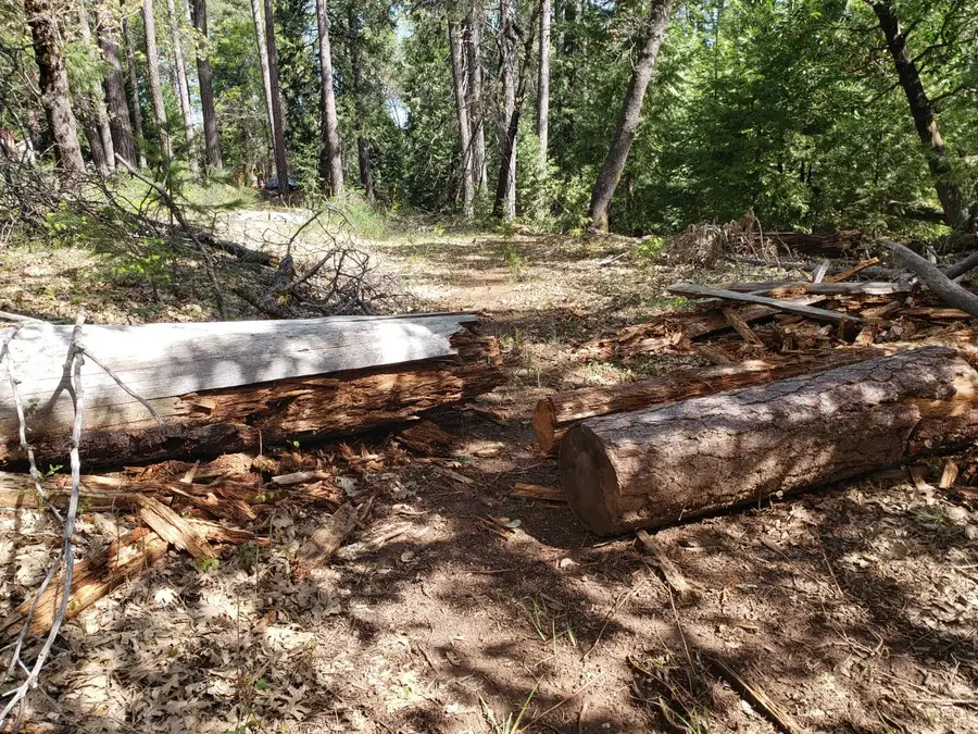 10 Buffalo Hill Road, Georgetown, CA 95634 - Image #2