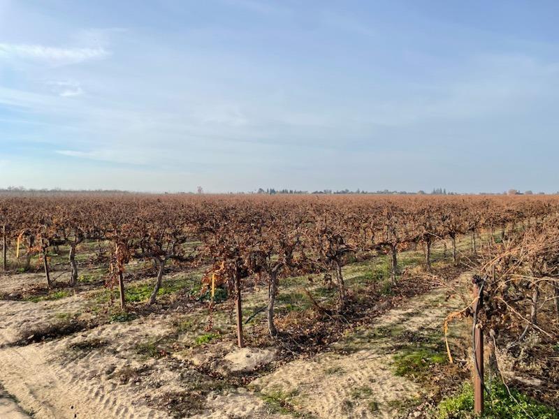 13121 N ALPINE ROAD, Lodi, CA 95240 BHGRE