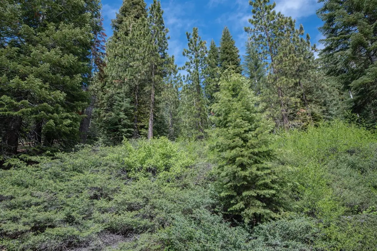 51 Liberty Road, Valley Springs, CA 95223 - Image #1