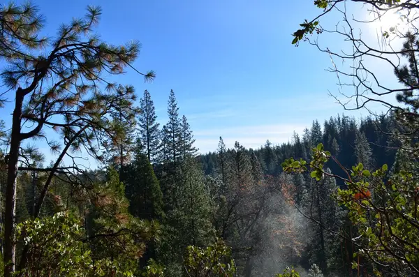 1703 War Hawk Way, Arnold, CA 95223