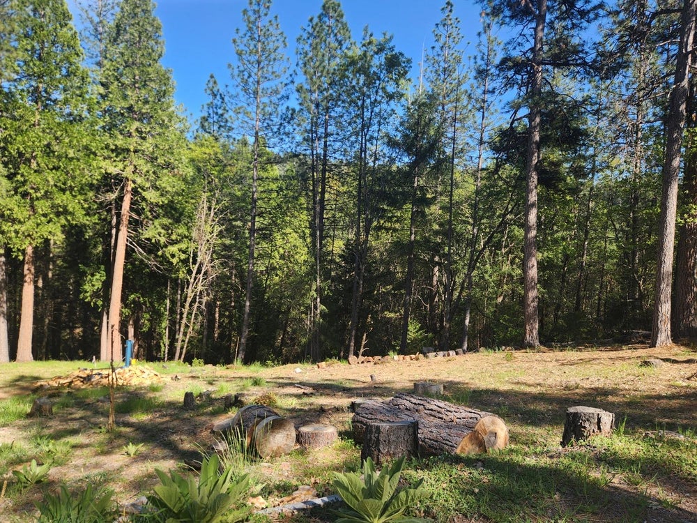 5508 Five Spot Road, Pollock Pines, CA 95726 BHGRE