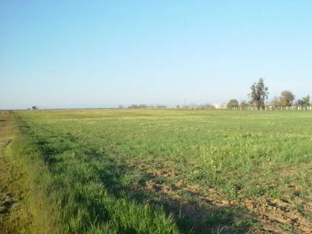 0 Ave. 22 1/2, Chowchilla, CA 93610 - Image #1