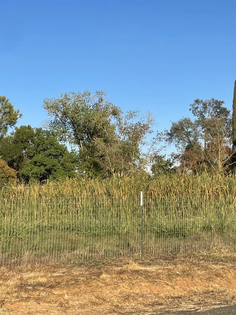 12501 Lee School Cross Road, Wilton, CA 95693 - #2