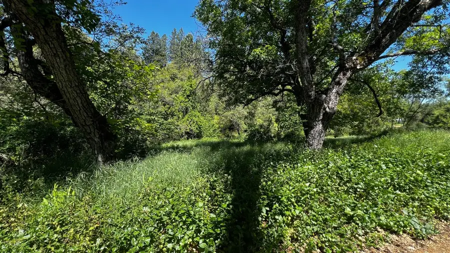 219 Smith Lane, West Point, CA 95255 - Image #3