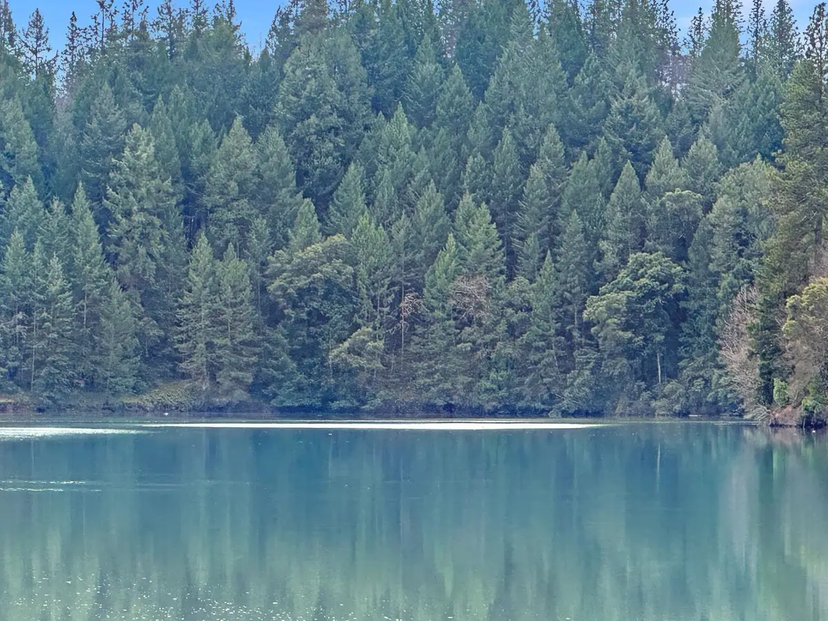 17871 Rollins View Drive, Grass Valley, CA 95945 - #1