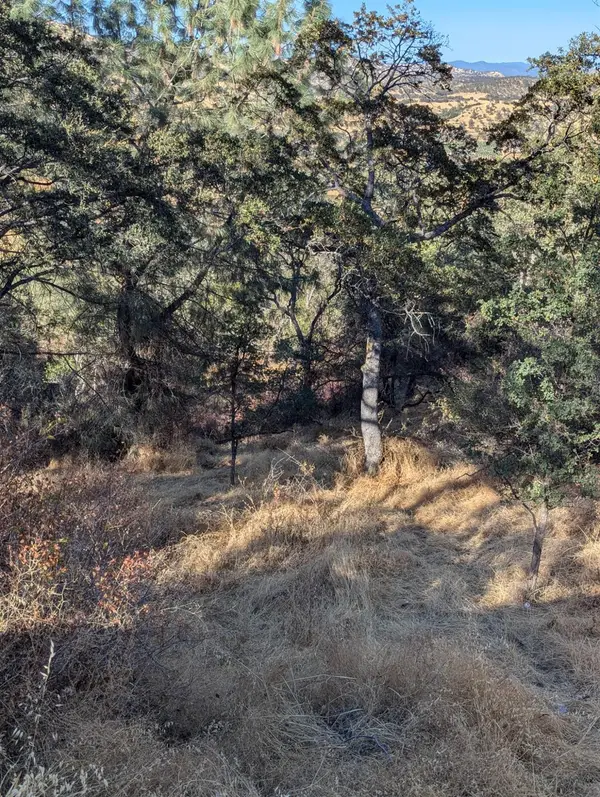 4625 Bayview Drive, Copperopolis, CA 95228