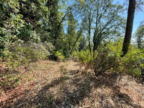 0 N Forbestown Road, Challenge, CA 95925