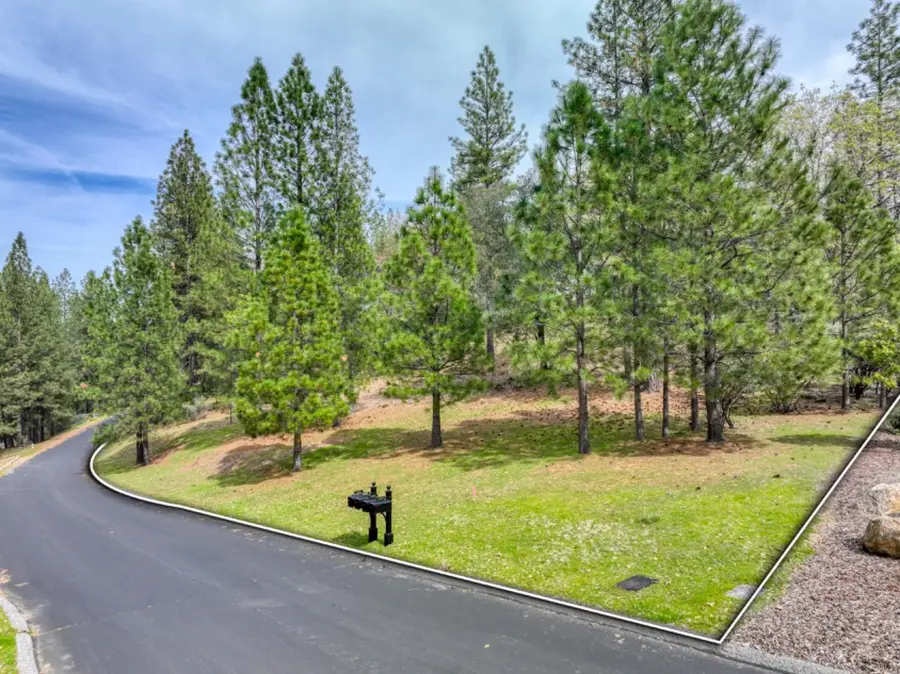 1235 Forest View Drive, Meadow Vista, CA 95722 - Image #3