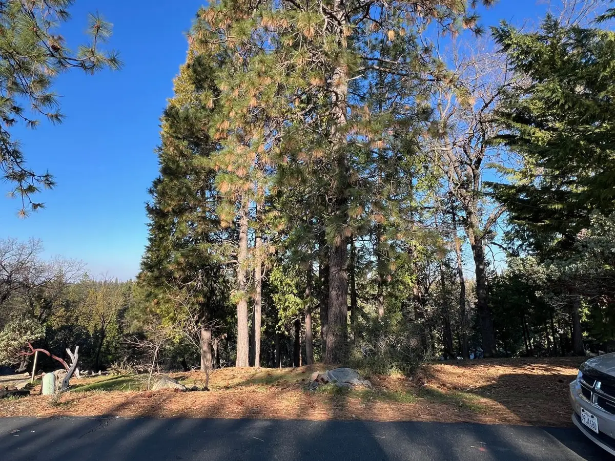 1238 Canyon Ridge Court, Murphys, CA 95247 - #1
