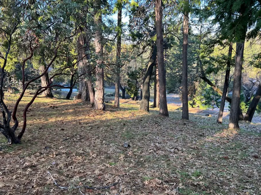 1238 Canyon Ridge Court, Murphys, CA 95247 - #2
