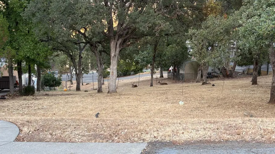 34 Coho Court, Oroville, CA 95966 - Image #3