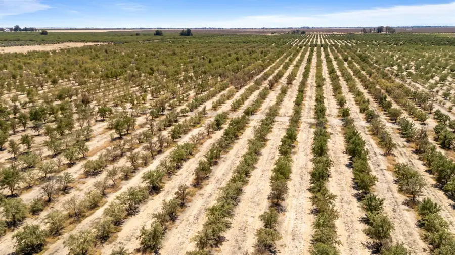 0 Buchanan Hollow Rd, Le Grand, CA 95333 - Image #3