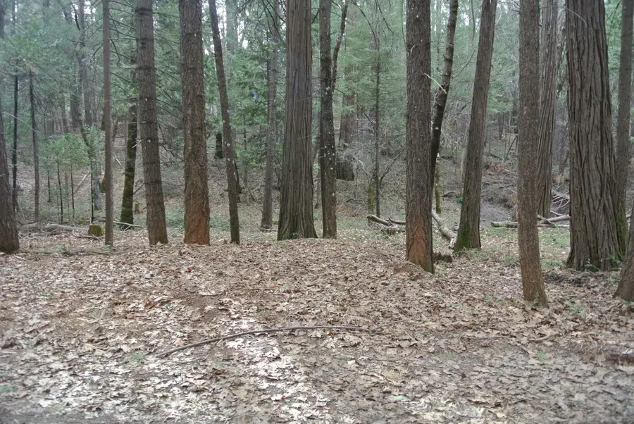 #3