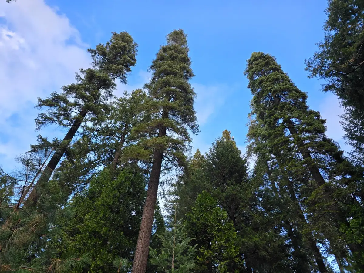 0 Blair Road, Pollock Pines, CA 95726 - Image #1