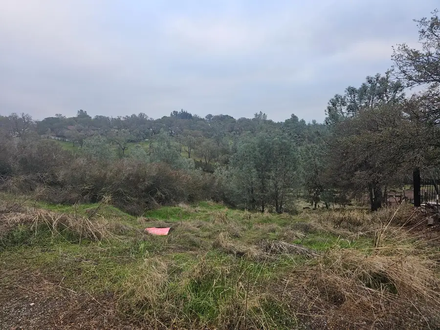 8808 Hautly Lane, Valley Springs, CA 95252 - Image #2