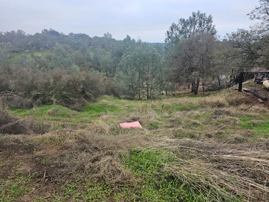 8808 Hautly Lane, Valley Springs, CA 95252 - Image #3