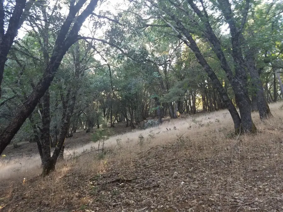 16424 Annie Drive, Grass Valley, CA 95949 - Image #2