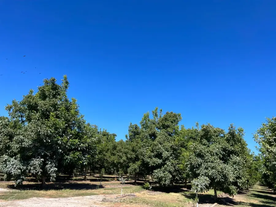 0 Hwy 99, Yuba City, CA 95991 - Image #3