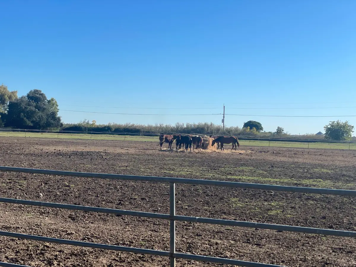 5576 S Butte Road, Yuba City, CA 95993 - Image #1