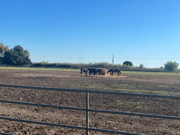 5576 S Butte Road, Yuba City, CA 95993