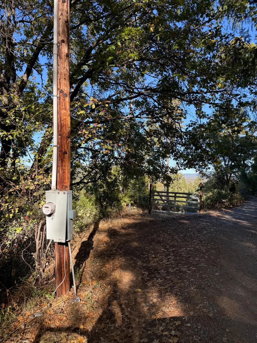 4220 Tree Lane, Wilseyville, CA 95257 - Image #2