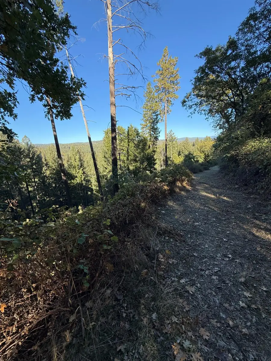 4220 Tree Lane, Wilseyville, CA 95257 - Image #3