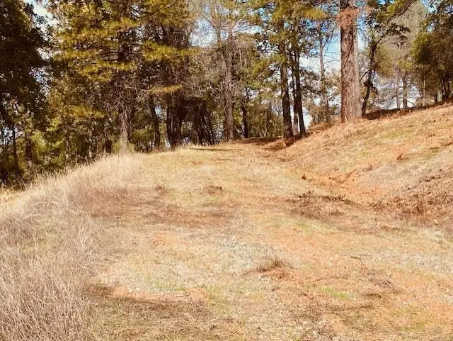 6080 Spanish Flat Road, Garden Valley, CA 95633 - Image #2