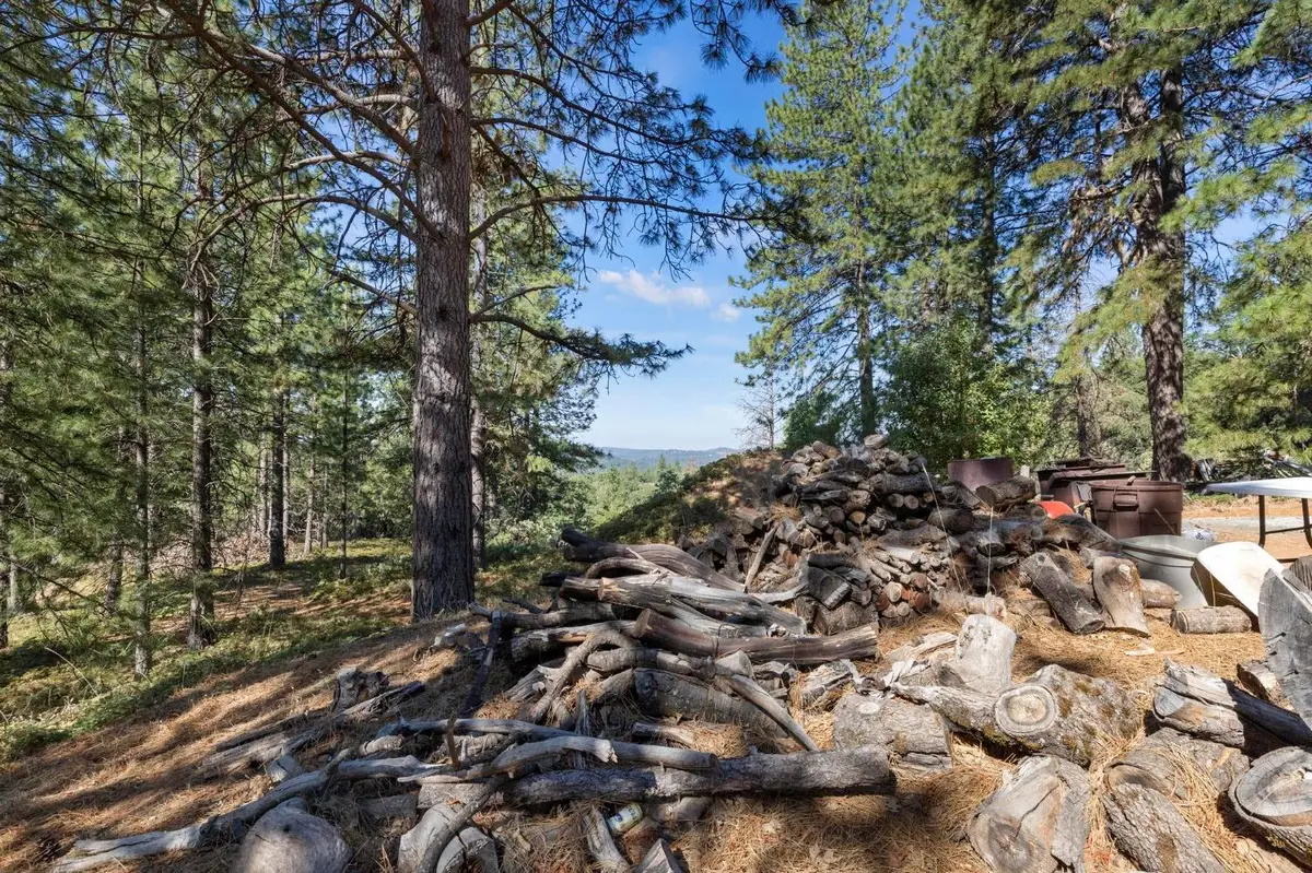 25251 Canterbury Road, Pioneer, CA 95666 - #1