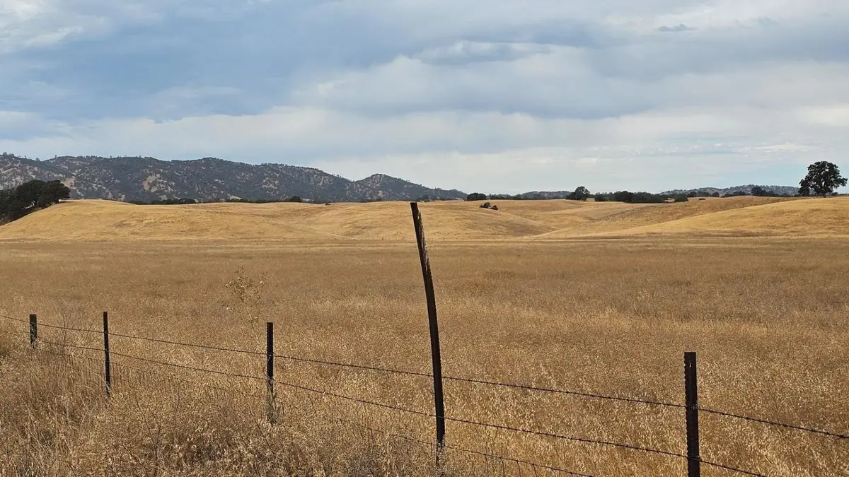 11 W County Road 11, Dunnigan, CA 95937 - Image #1