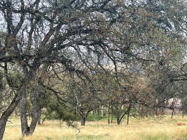 9520 Mercado, La Grange, CA 95329