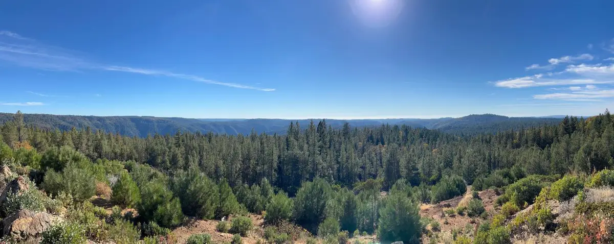 31180 Knob Cone Road, Gold Run, CA 95717 - Image #1