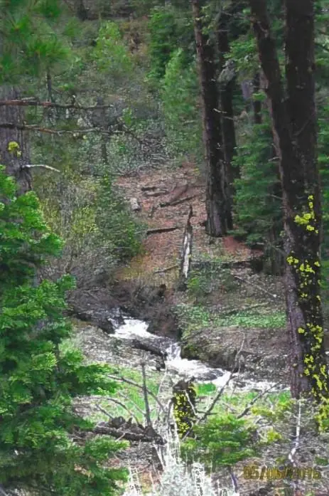 2161 Mckenney Drive, Alturas, CA 96101 - Image #3