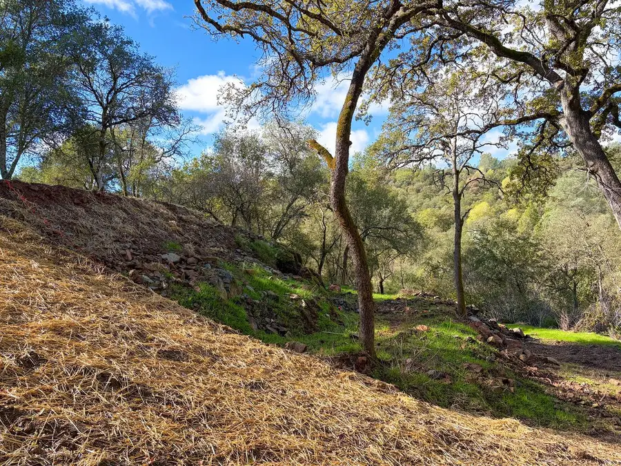 0 Lorrain Street, Shingle Springs, CA 95682 - Image #3