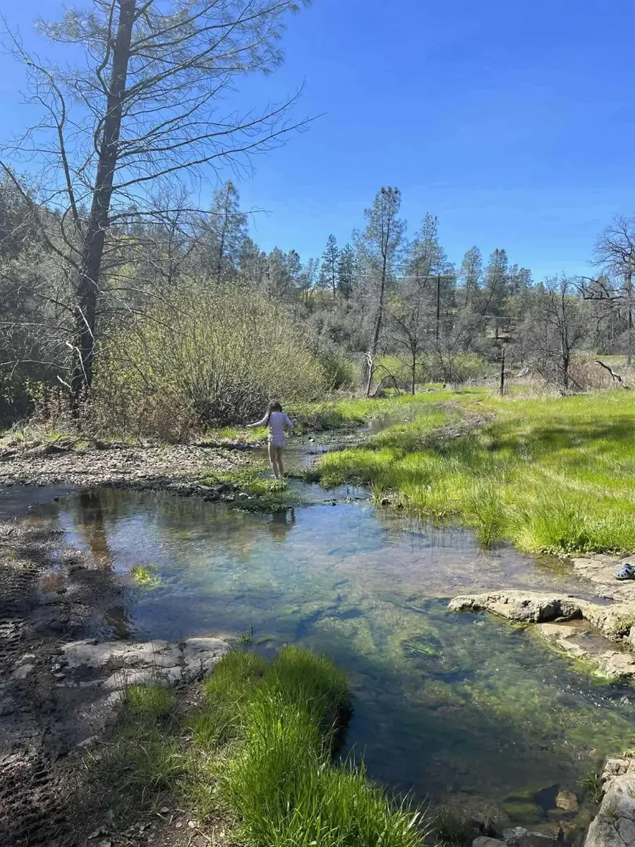 21484 Driftwood Trail, Redding, CA 96003 - Image #2