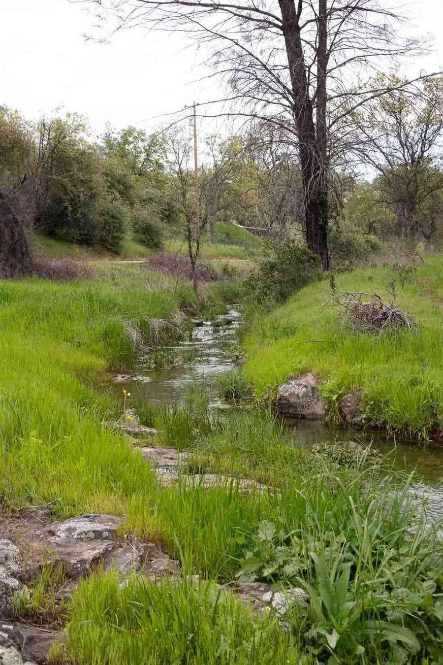 21484 Driftwood Trail, Redding, CA 96003 - Image #3