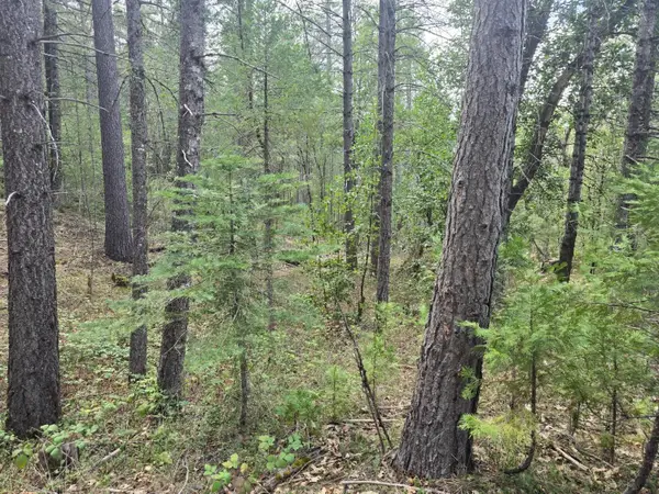 16633 Azurite Court, Nevada City, CA 95959