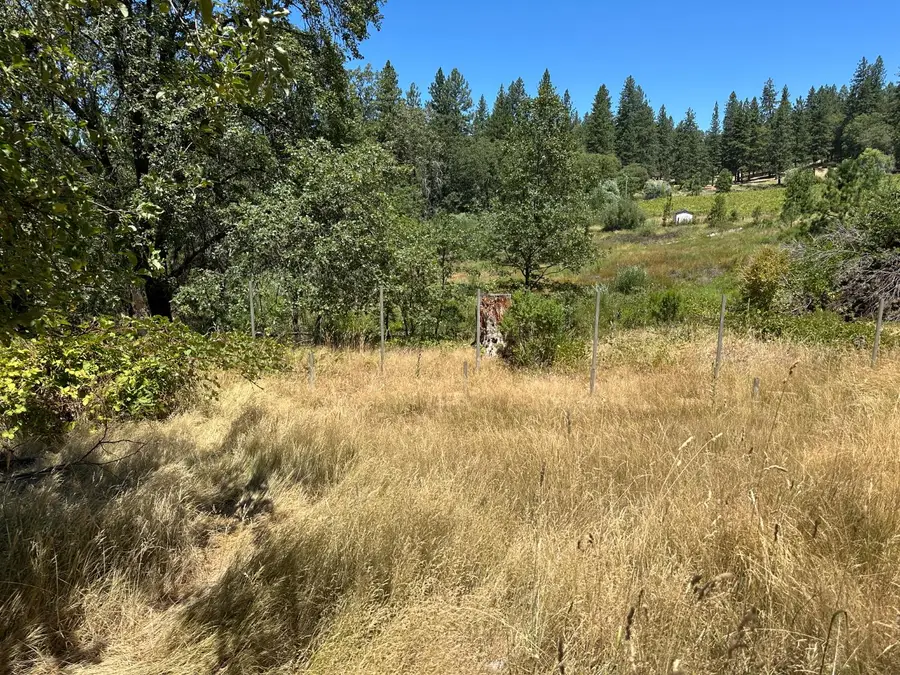 3620 Graybar Mine Road, Garden Valley, CA 95633 - Image #2