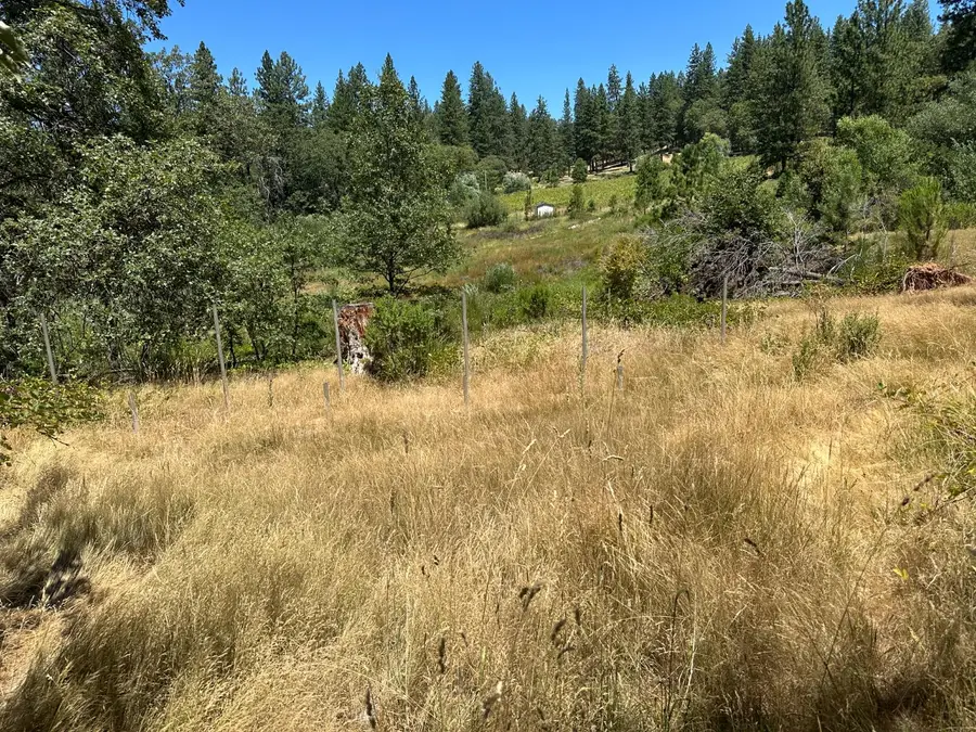 3620 Graybar Mine Road, Garden Valley, CA 95633 - Image #3