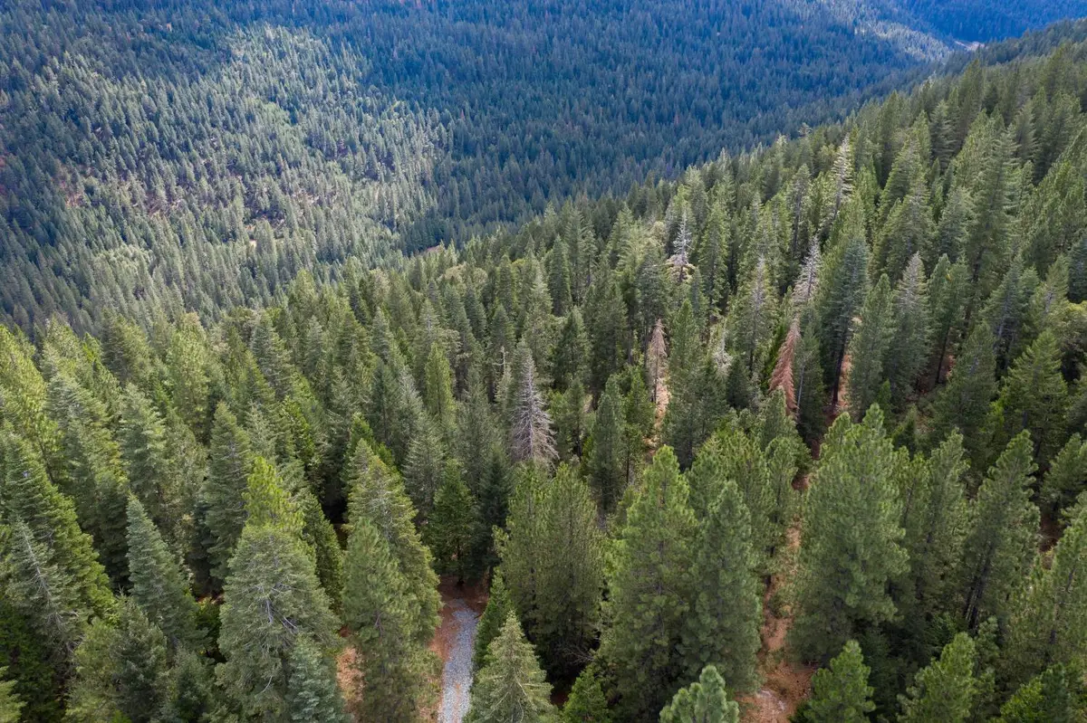 11023 Lowell Hill Rd, Nevada City, CA 95959 - Image #1