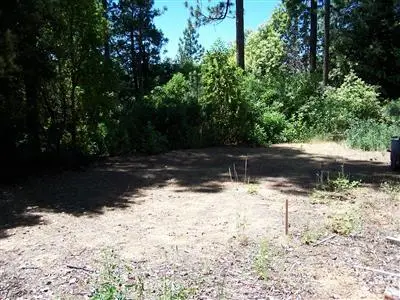 0 Oro Quincy Highway, Berry Creek, CA 95916 - Image #1