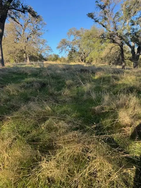 3900 Cold Stream Road, Auburn, CA 95602