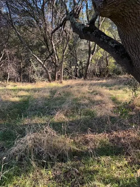 3900 Cold Stream Road, Auburn, CA 95602 - Image #2