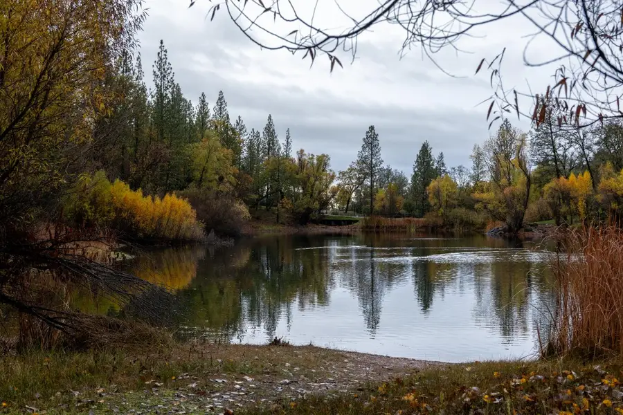 6100 Shasta Road, Garden Valley, CA 95633 - Image #3