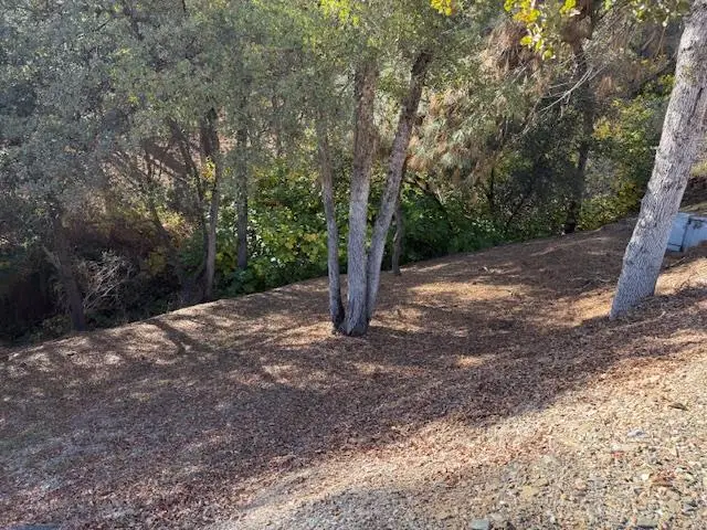 98 Poker Flat Road, Copperopolis, CA 95228 - Image #2