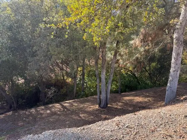 98 Poker Flat Road, Copperopolis, CA 95228 - Image #3