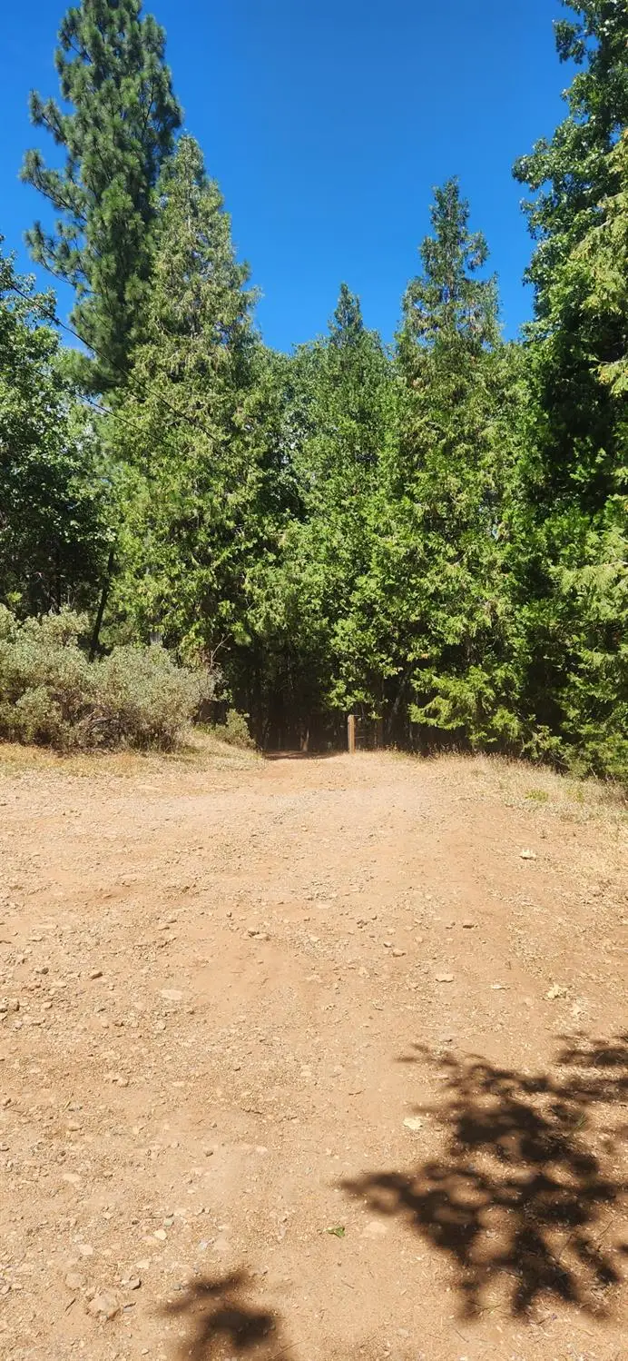 16949 Jones Ridge Road, Grass Valley, CA 95945 - Image #1
