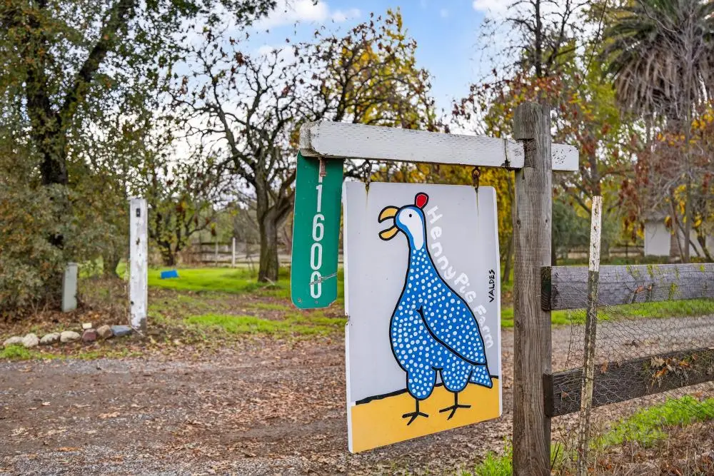 11600 State Highway 16, Brooks, CA 95606 - Image #1