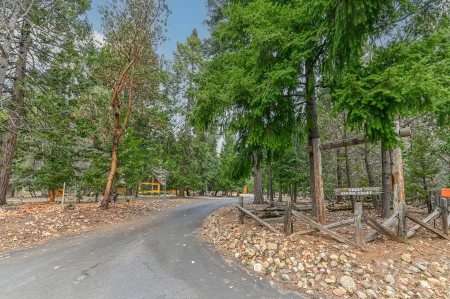 26897 Spring Court, Pioneer, CA 95666 - Image #3